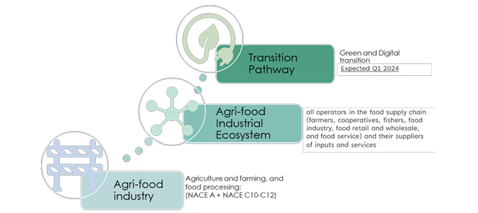 EC Report pathways agrifood