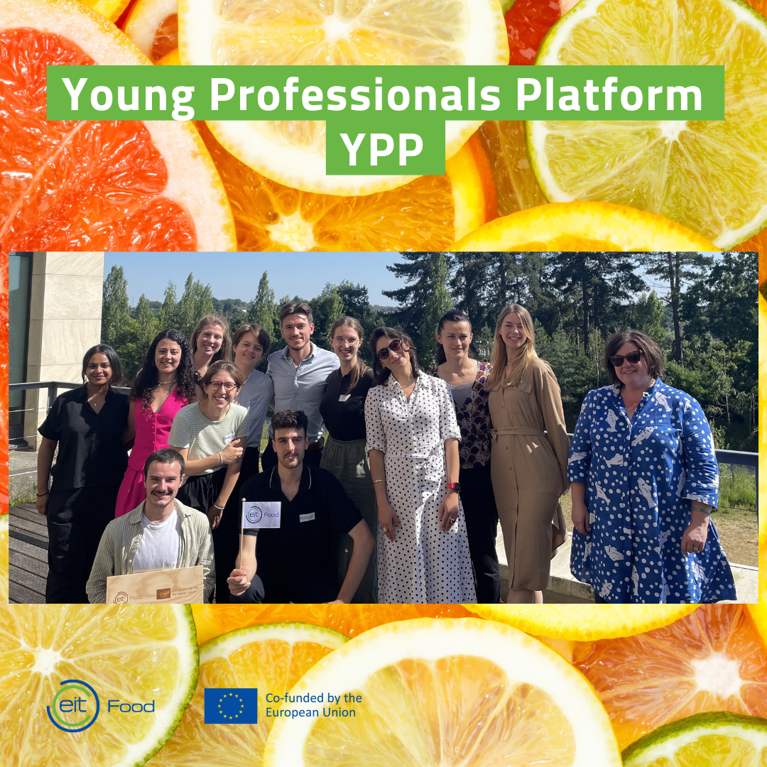 Group YPP